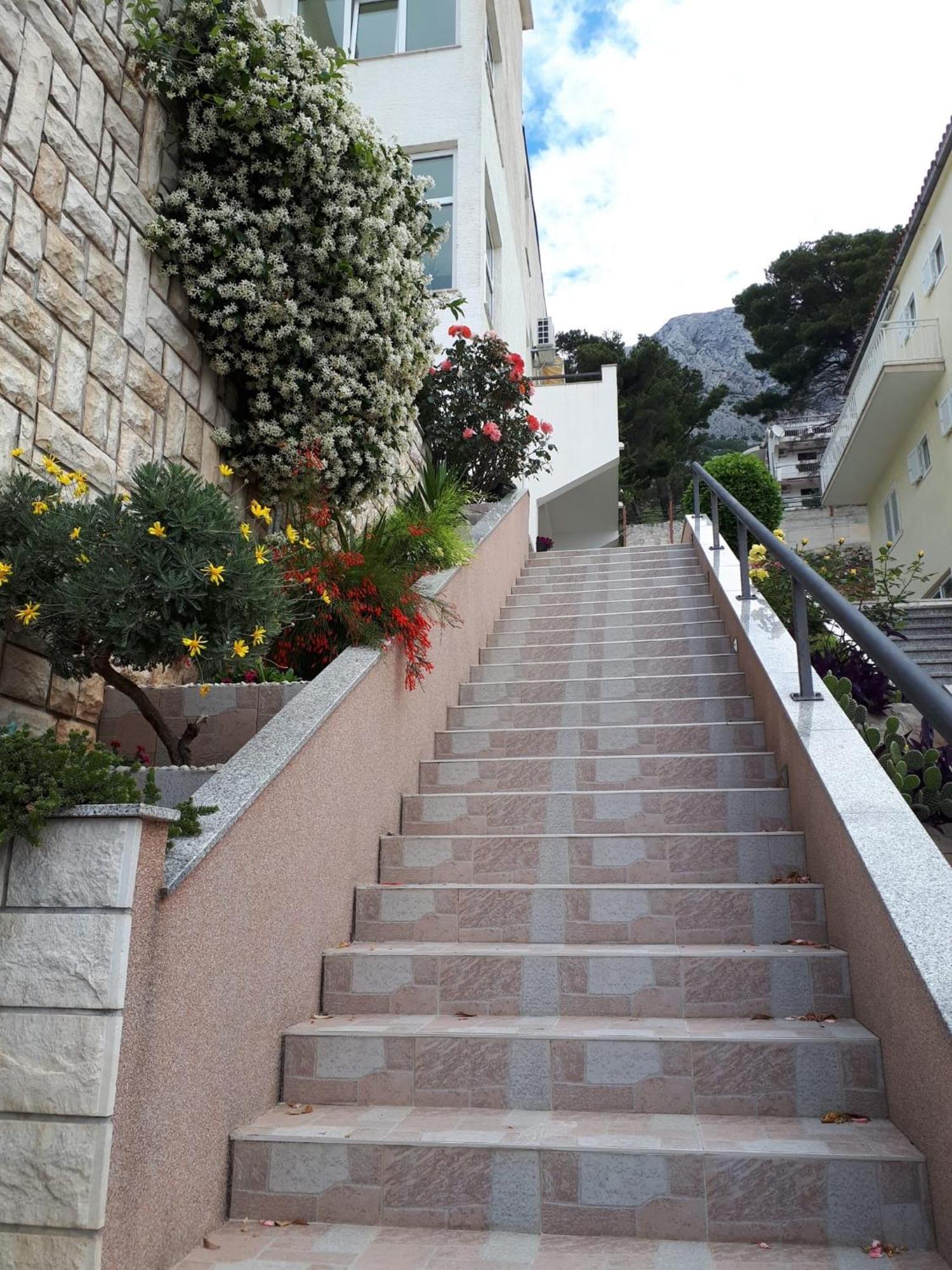 Apartments Matic Baška Voda Eksteriør billede